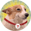 SUNDOG (SUNDOG) accepted at SuperBitHost
